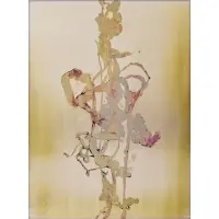 Adam Fuss, Untitled (Details of Love)