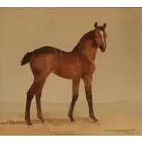 Paul Desmond Brown, A Brown Foal, 1934, Watercolor
