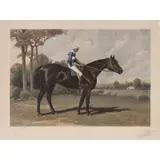 Henry Stull, Tenny, 1981, Colored lithograph with ink drawing of horse head lower right