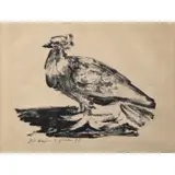 Pablo Picasso, Le Gros Pigeon (The Big Pigeon), 1947, Lithograph