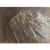 Ethel Edwards, Spectacle, Oil on canvas