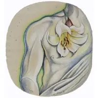 Lowell Nesbitt, Orchid, 1979, Three Works on Paper: (i) .'Untitled' (Male Torso with White Lilly)