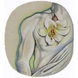 Lowell Nesbitt, Orchid, 1979, Three Works on Paper: (i) .'Untitled' (Male Torso with White Lilly)