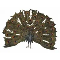 Untitled by Franz Xaver Bergmann, Peacock sculpture, sold Jan 2026