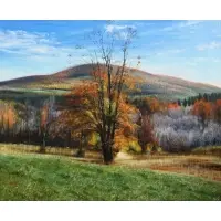 Jon R. Friedman, October, Hillside, 1996, Oil on on canvas laid over board