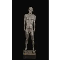 Male Nude Figure by Martha Mae Shedd, Dark bronze toned composition, sold Sep 2025