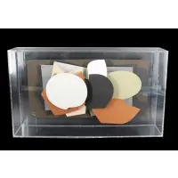 Anthony Caro, Leaf Pool, Mixed Media, Cardboard fold-out multiple, in perspex box frame