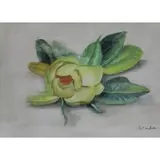 Bessie Hendricks, Floral still life