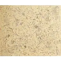 Pope Noell, DIEP #21, 2003, Acrylic on canvas on board