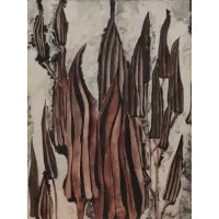 Debroah Coram, Okra, Watercolor on paper