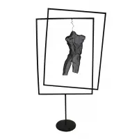 David Begbie, Mesh screen torso hanging in a double metal frame