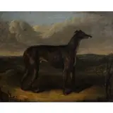 J. Thompson, The Sultan, Oil on canvas