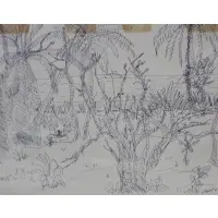 Vincent Smith, Montego Bay, Ink drawing