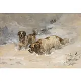 Charles Olivier de Penne, St. Bernards in Snow, Watercolor and gouache on paper