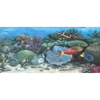 John Dawson, Tropical Fish, Gouache on paper