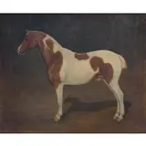 A. Douglas-Hamilton, A Brown and White Pony, Oil on canvas