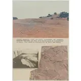 Dennis Oppenheim, Branded Mountain