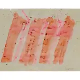 R. Davis, Abstract Composition, Watercolor