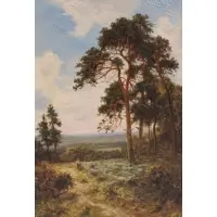 Daniel Sherrin, Near Goldaming, Surrey, Oil on canvas