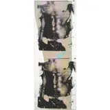 Rupert Jasen Smith, Double Male Torso, 1981, Screen print with diamond dust