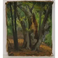 William Alexander Drake, Untitled, Oil on canvas forest