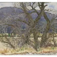 William Alexander Drake, Untitled, Watercolor of trees