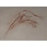 Manuel Hughes, Untitled