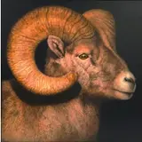 Ray Hare, Big Horn, Oil on canvas