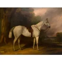 George Sebright, Swallow, Oil on canvas