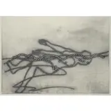 Alena Kučerová, Hladina (Level), Print from perforated sheet