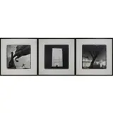 Keith Carter, Louvre