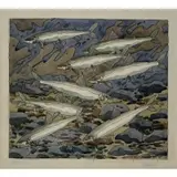 Neil Welliver, Smelts, Hand colored etching on paper