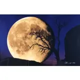 Peter Lik, Bella Luna