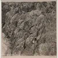 Gordon Cook, Headland III, Etching