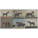 Paul Brown, (Group of 6) Horse Scenes, Oils on canvas-board