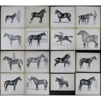 Paul Brown, Grouping of 16 Horse portraits, Ink wash on board