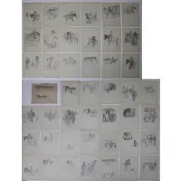 Paul Brown, (Grouping of 45) Horse / Equestrian illustrations, 44 are pencil on paper; 1 is a lithograph