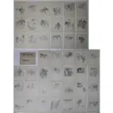 Paul Brown, (Grouping of 45) Horse / Equestrian illustrations, 44 are pencil on paper; 1 is a lithograph