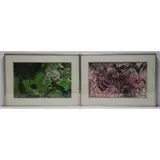 Fred G. Hauck, ( 2 ) Abstract compositions, Oils on board or thick canvas? Apparently unsigned