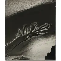 Ruth Bernhard, Oregon Coast,, 1968, Gelatin silver print