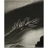 Ruth Bernhard, Oregon Coast,, 1968, Gelatin silver print