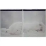 Joyce Tenneson, Reclining Woman, Polaroid photograph in two parts