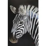 P. Charles, Zebra, Oil on canvas