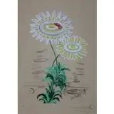 Chrysanthemum Frutescens by Salvador Dalí, Lithograph with engraving and pochoir, sold Jan 2023