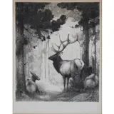 W. Herbert, Heart of the Wilderness, Elk No.19, Lithograph