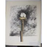 Ronald Searle, Nobody Loves me, Lithograph