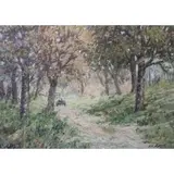 James C. Magee, Forest Scene, Oil on cancas, Signed lower right