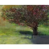 Sheilah Rechtschaffer, Tree, Pastel on paper