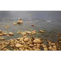 Zhen - Huan Lu, Seagull on Rocks at Shore, Oil on canvas