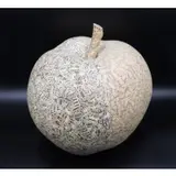 Jiří Kolář, Paper Mache Apple